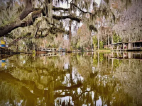 Cottage 36: Sunshine Suite - Waterfront Lodging in Downtown Tavares, FL