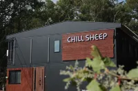 Chill Sheep