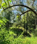 Stoney Chute Studio