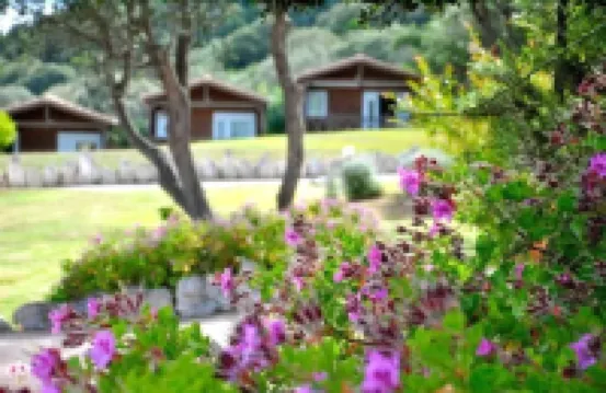 Hôtel Maora Village Hotels in 