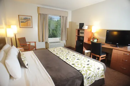 Sleep Inn Hotel Paseo Las Damas