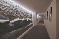 Apartamentos Magna Sevilla - مطابخ