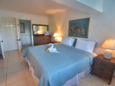 藍湖月亮聖別墅酒店 德雷珀斯酒店