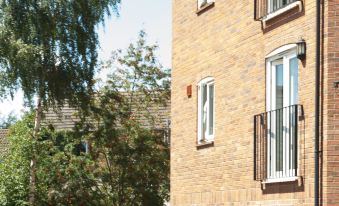 Chestnut Contractor Stays