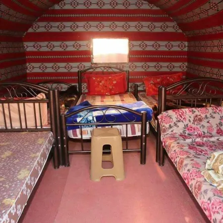 Bedouin Habits Tours Camp
