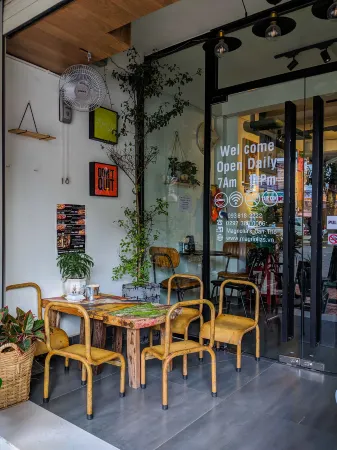 매그놀리아 깐토