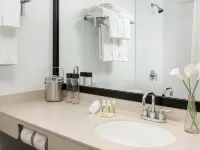 Studio Allston Hotel Boston Hotels in Boston