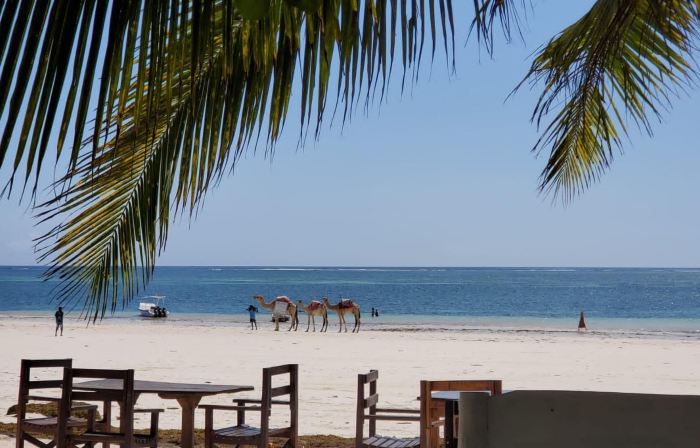 Charming and Remarkable15-Bed Villa in Diani Beach
