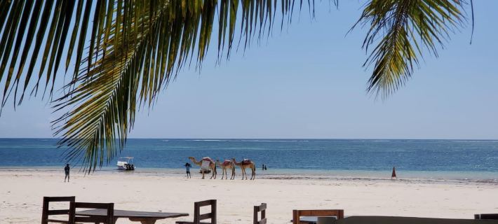 Charming and Remarkable15-Bed Villa in Diani Beach Ξενοδοχεία στην πόλη Diani Beach