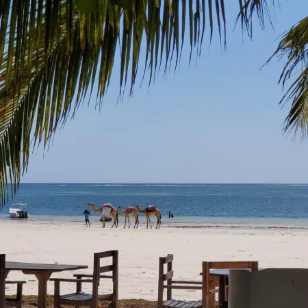 Charming and Remarkable15-Bed Villa in Diani Beach