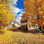 อาร์ลิงตัน อินน์ โรงแรมใน