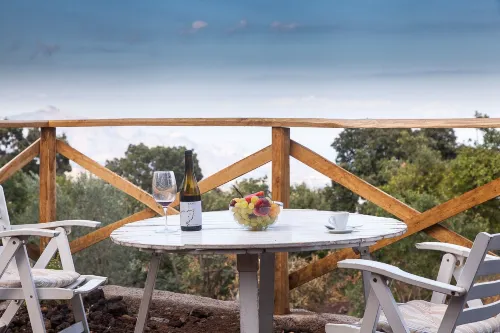 Etnella EnoAgriturismo Notti Stellate Etna Mare - pet friendly