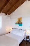 Vissala 4 Minuartia in Chortata