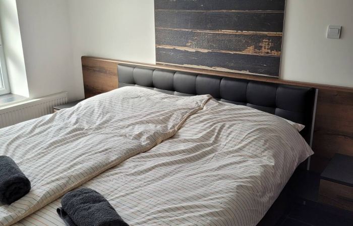 Lovely apartment in downtown with free parking