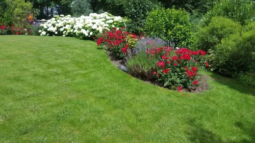 Gemütliche Ferienwohnung "güse" im Grünen