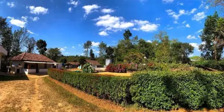 The Thota Mane by Evaddo