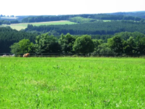 Ferienhaus in Liebenscheid Nahe Fuchskaute
