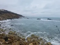 Departamento 1304 Ocean Club Playas Hotels in Playas