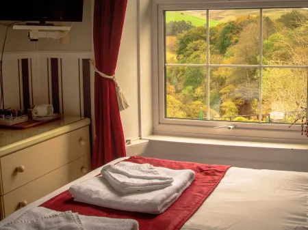 The George Borrow Hotel Отели в г. Кадфарч