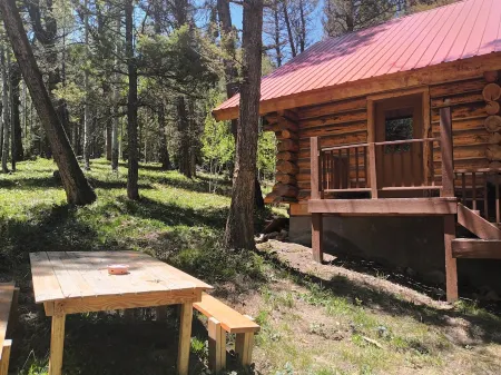 Quiet Retreat in Aspen Grove