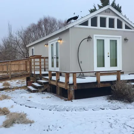 Shady Lady Bed and Breakfast