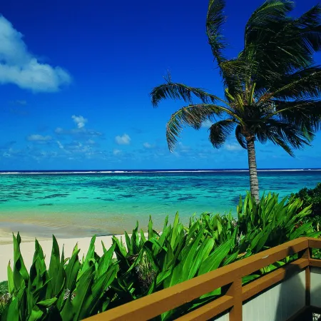 Palm Grove