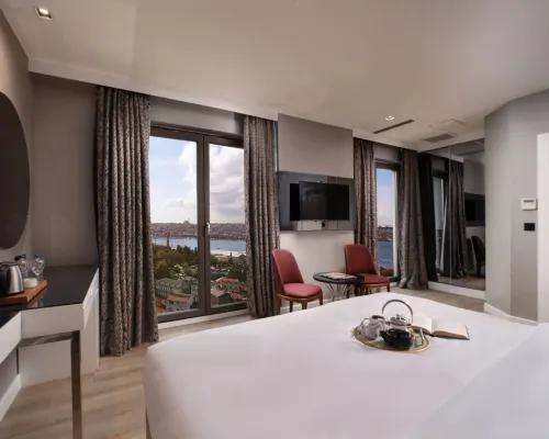 Dora Pera Hotel Hotels near Pera