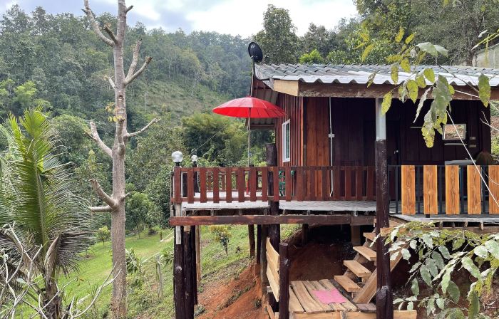 Forest Guest House