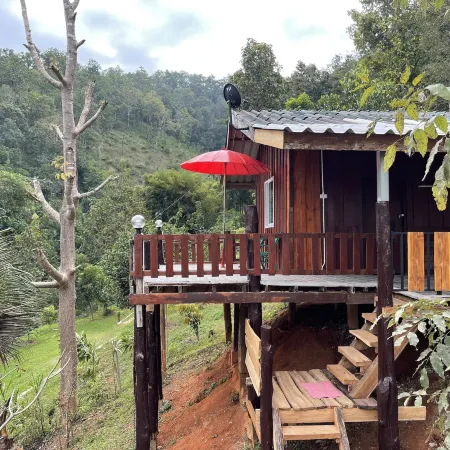 Forest Guest House