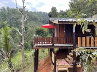 Forest Guest House Hotels in Samoeng