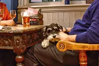 The Bridge Pub & Rooms Hotel a Richmond upon Thames