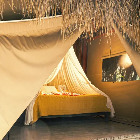 Akumal Natura Glamping