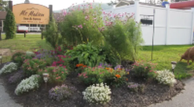 Mt. Madison Inn & Suites