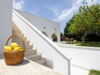 La casa sul faro Hotels in Procida