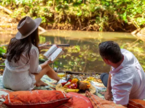 The Canopy Rainforest Treehouses & Wildlife Sanctuary Hotels in Malanda