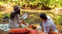 The Canopy Rainforest Treehouses & Wildlife Sanctuary Hotels in Tarzali