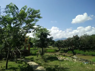 Pai Park Cottage