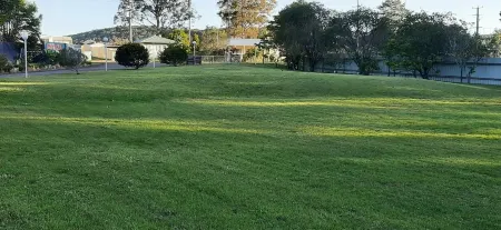 Karuah Gardens Motel Отели в г. Хокс Нест