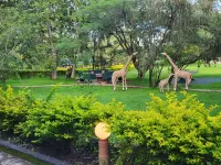 Meru View Lodge Hotels in Arumeru