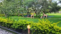 Meru View Lodge
