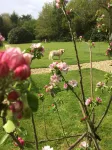 Woodacre B & B - Homestays
