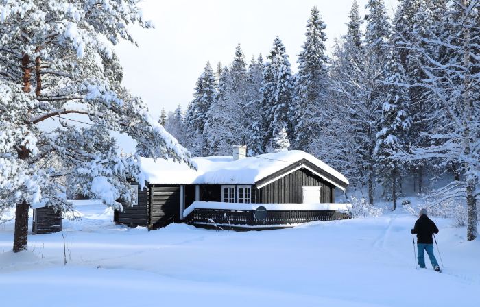 Velfjord Camping & Hytter