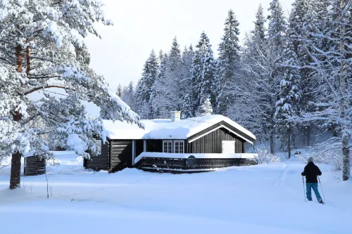Velfjord Camping & Hytter - Ramah Hewan Peliharaan