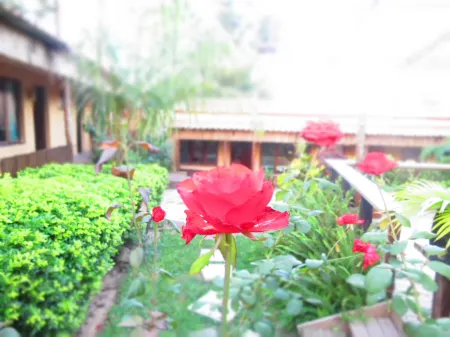 Nkanhi Centro de Conferências e Hotel