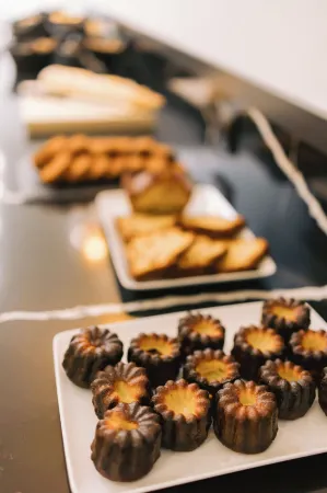 Hotel Majestic Bordeaux Отели рядом с достопримечательностью «Palais Gallien»