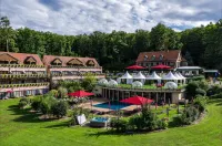 Hôtel & Spa les Violettes Hotels in Guebwiller