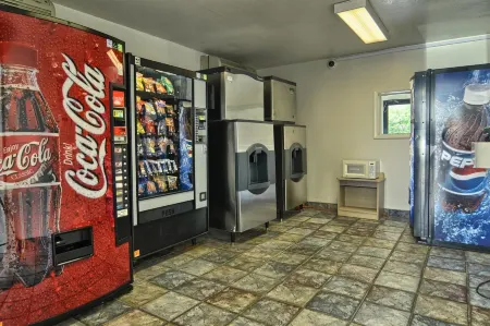 Skyline Inn Отели в г. Конуэй