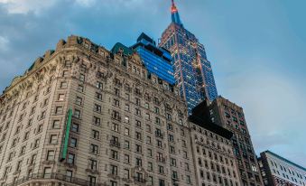 Martinique New York on Broadway, Curio Collection by Hilton