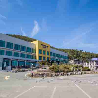 파인비치호텔 Hotel Exterior