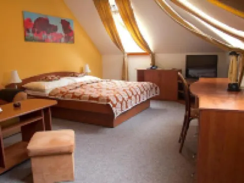 Hotel Pod Hradom Hotels in Trenčín